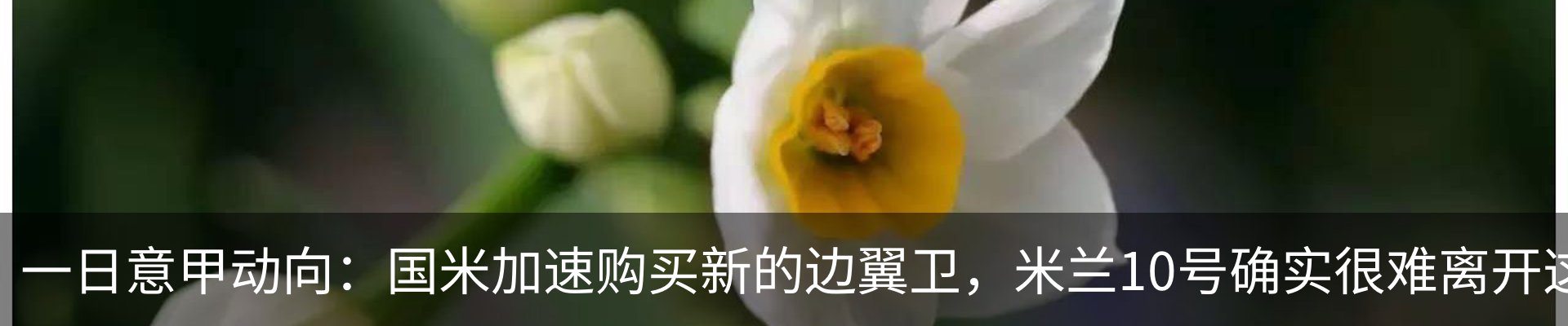 最新动态