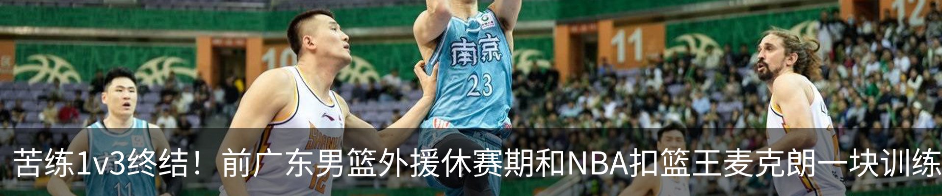 最新动态